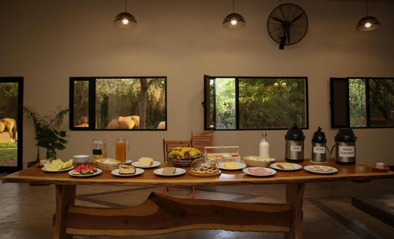 Country house Jasy